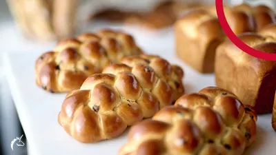 Wszystko, co  musisz wiedzieć na temat brioszki