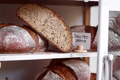 Sproutgrain Rye in Syrup CL - Kiełki Żyta w Syropie