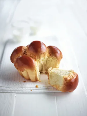 Intens Egg Replacement CL