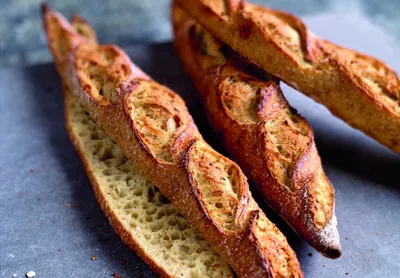 Softgrain Kiełki Owsa CL - kiełki zbóż w zakwasie