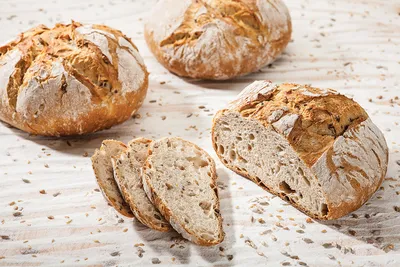 Softgrain 5 - Ziarna w zakwasie